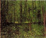 Vincent van Gogh Trees And Undergrowth painting